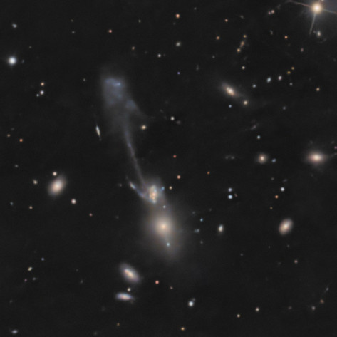 Abell1185 & Arp105 / NGC3561 The Guitar (Detail)