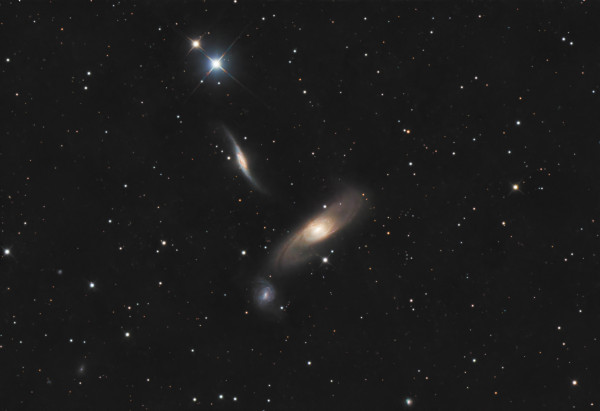 Arp 286