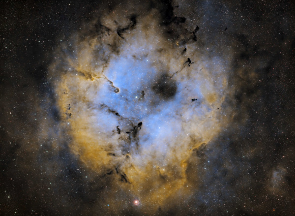 IC1396 Elefantenrüsselnebel