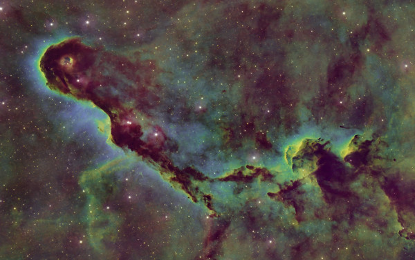 IC1396 Elefantenrüsselnebel