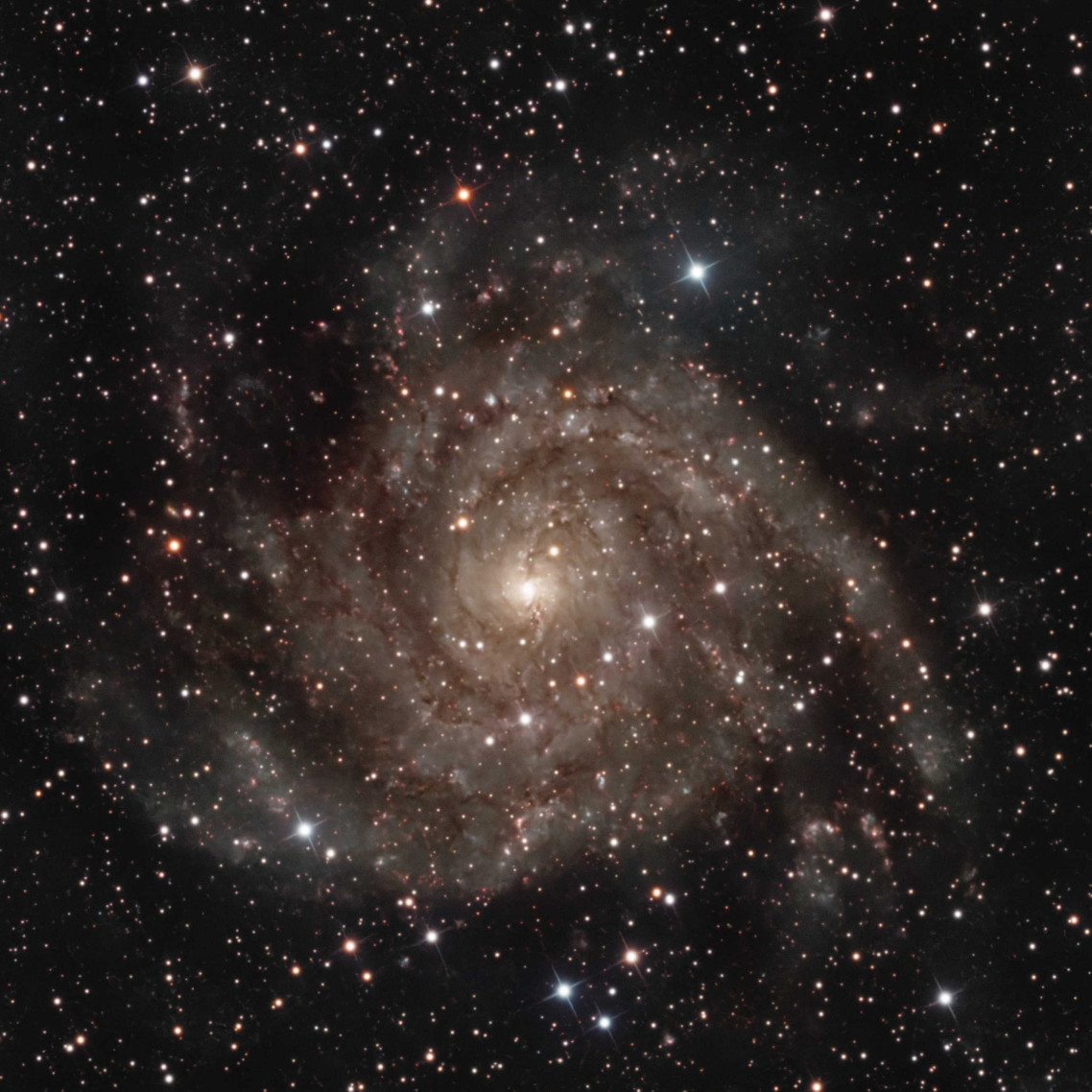 IC342 Hidden Galaxy
