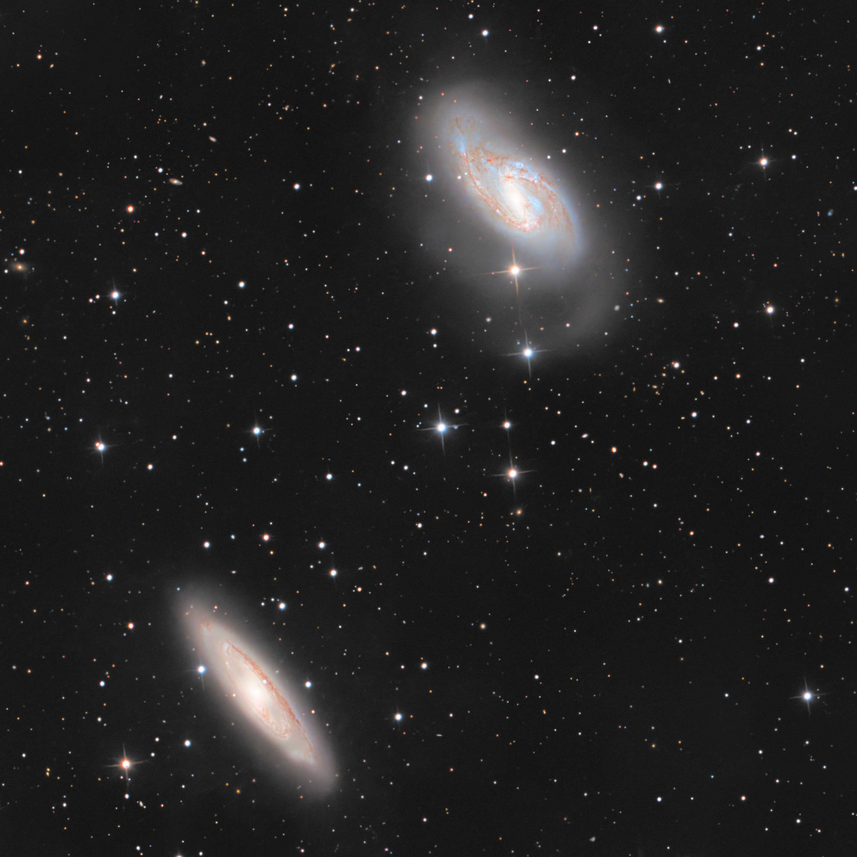M65, M66, NGC3628 Leo-Triplet
