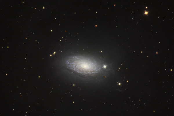 M 63 Sunflowergalaxie