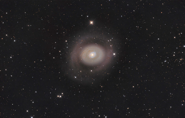 M94