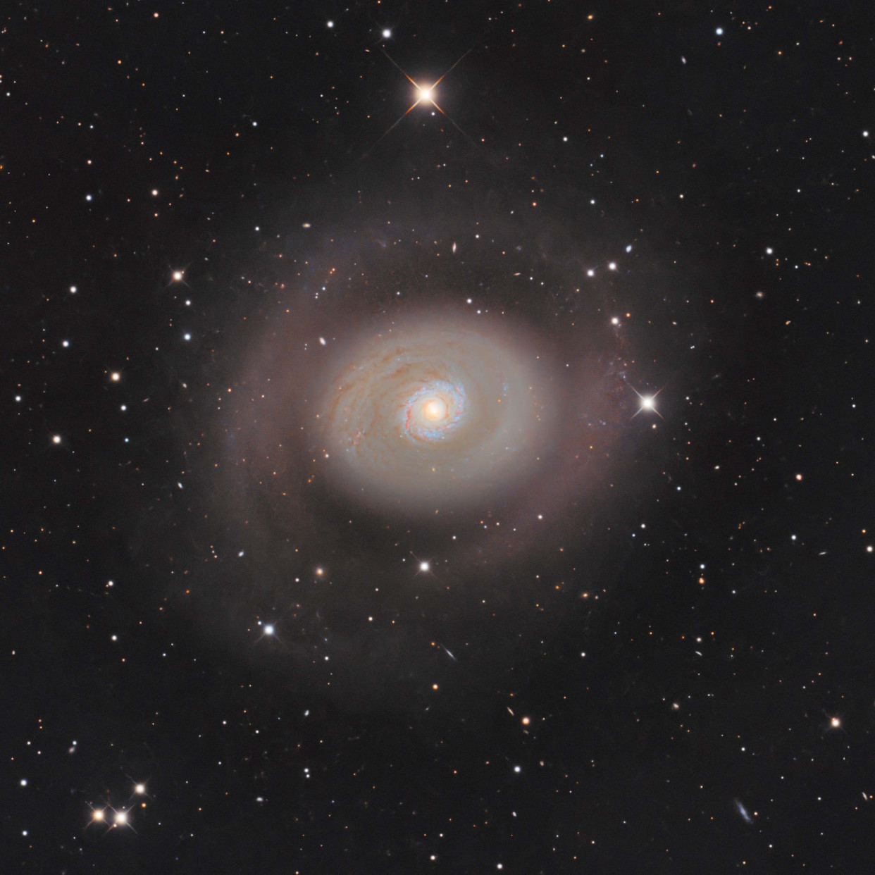 M94