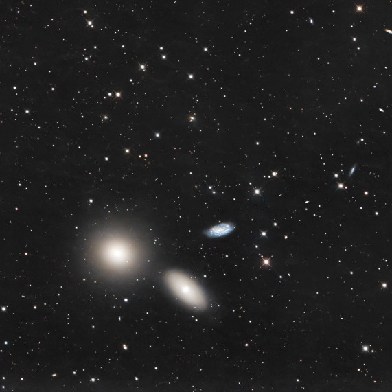 Leo-I-Gruppe, M96-Untergruppe