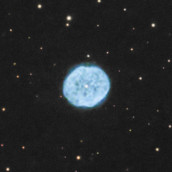 NGC1501 Camel's Eye Nebula