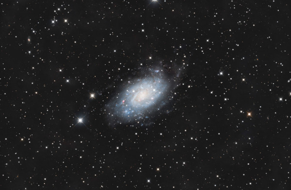 NGC2403