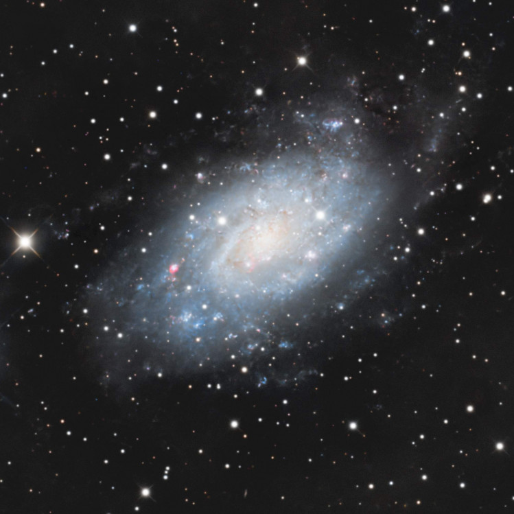 NGC2403