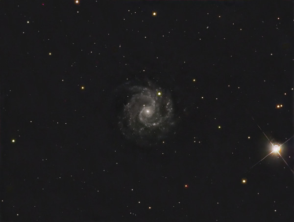 NGC3184