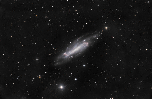 NGC4236