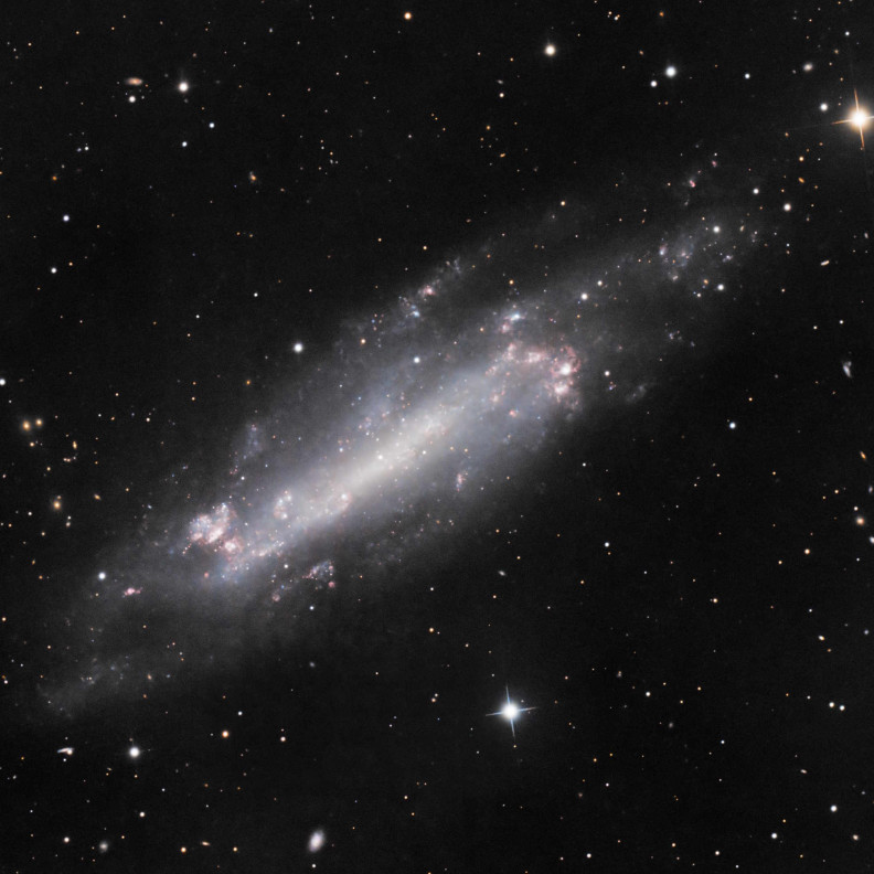 NGC4236