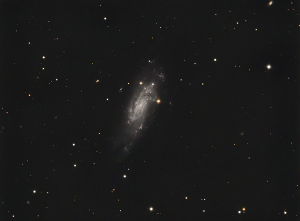 NGC4559