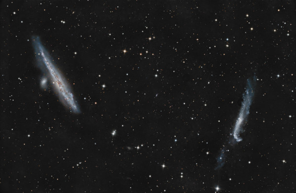 NGC 4631 Walgalaxie, NGC 4656/4657 Hockeystickgalaxie