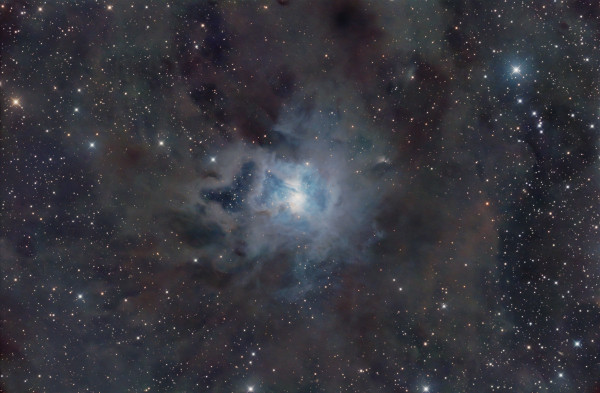 NGC7023 Irisnebel