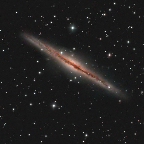 NGC891